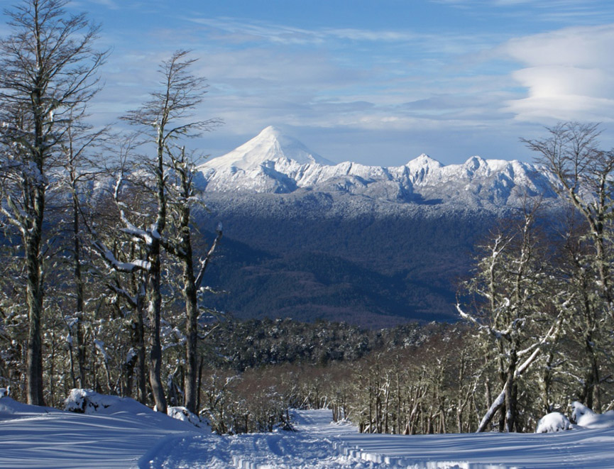 Reserva biológica Huilo Huilo. Huilo