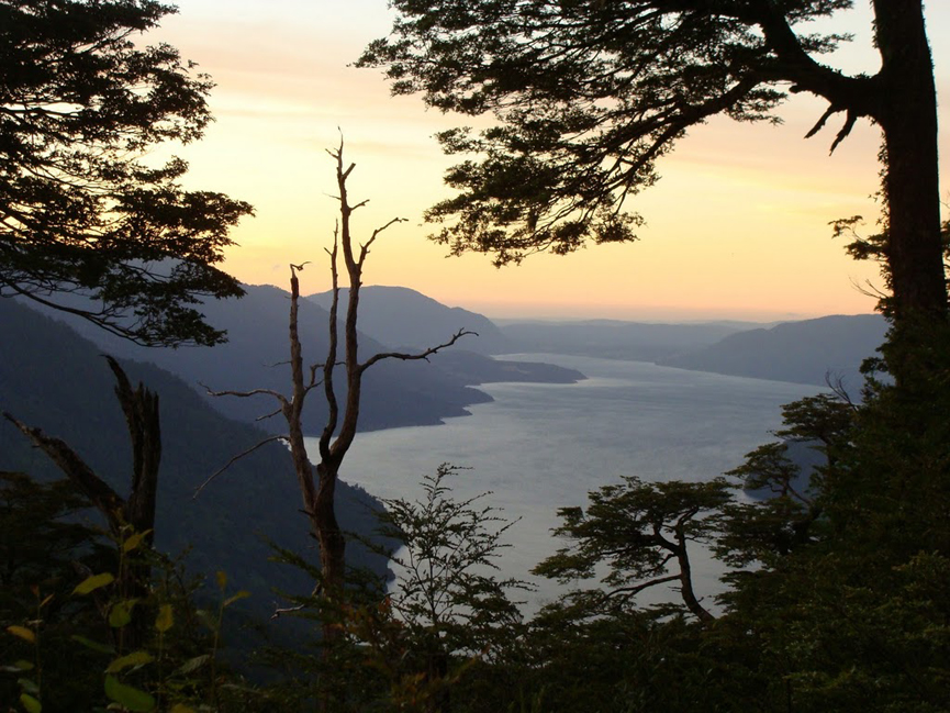 Vista del lago Panguipulli desde la Reserva Nacional. Bernardo Campos