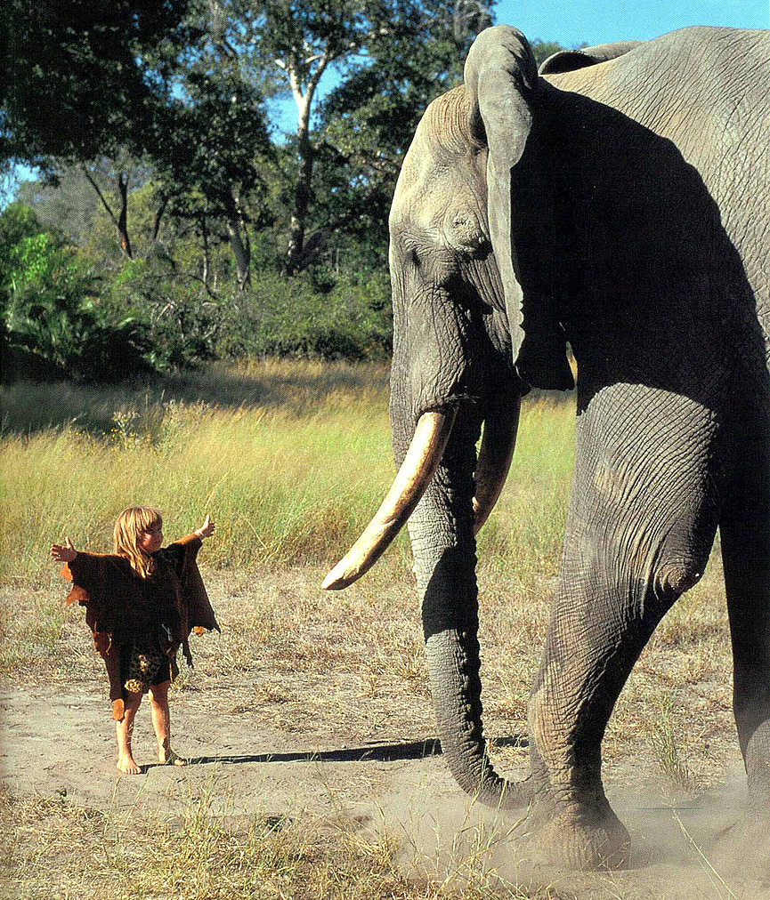 Tippi Degré 6 © Alain Degré y Sylvie Robert