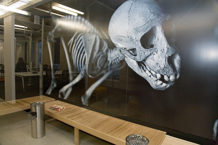 Oficinas de Skype en Tallin, Estonia. Zona de fumadores