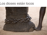 Los dioses están locos