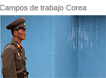 Campos de trabajo norcoreanos