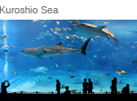 Kuroshio Sea