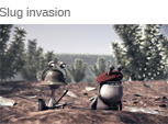 Slug invasion