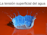 La belleza de la tension superficial del agua