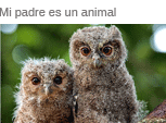 Mi padre es un animal