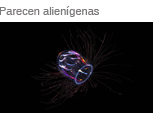 Parecen alienígenas