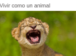 Vivir como un animal
