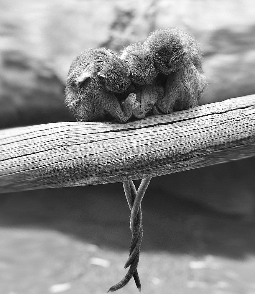 Unidos. Catherine Zasukhina