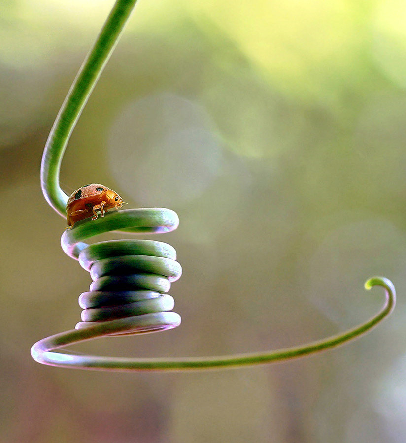 Long journey. Fabianus Hendrawan