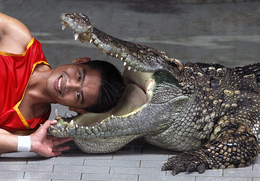 Zoológico de Sriracha Tiger. Sukree Sukplang, Reuters