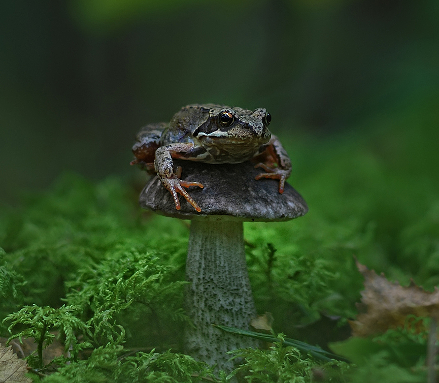 Don't touch it!. Valerius