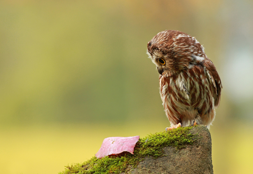 WTF?!?!. Alex Thomson