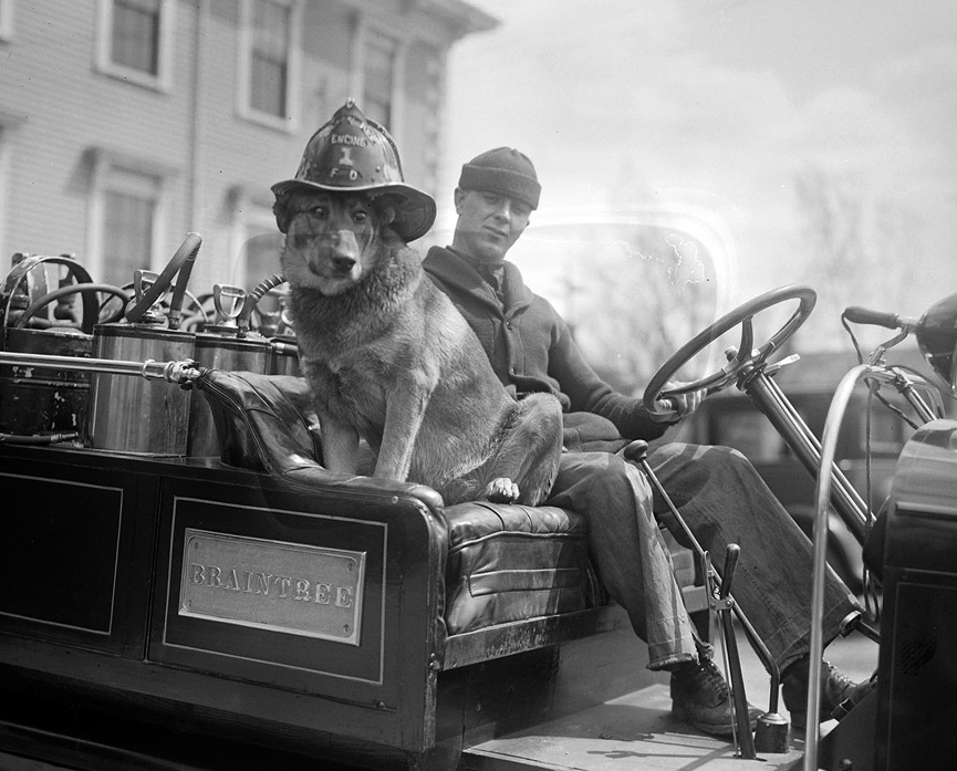 La mascota de los bomberos de Braintree, 1928. Boston Public Library