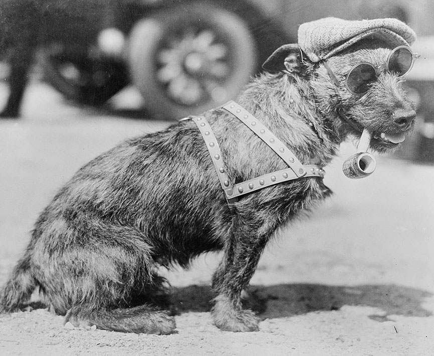 Burr MacDougall, ganador de una competicion de perros en Los Ángeles, 1926. Boston Public Library