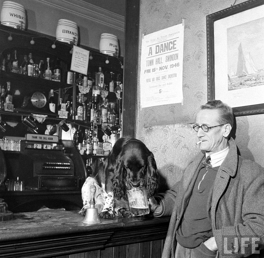 La mascota del dueño del bar bebiendo cerveza que le ofrece un cliente, 1946. George Rodger, Life