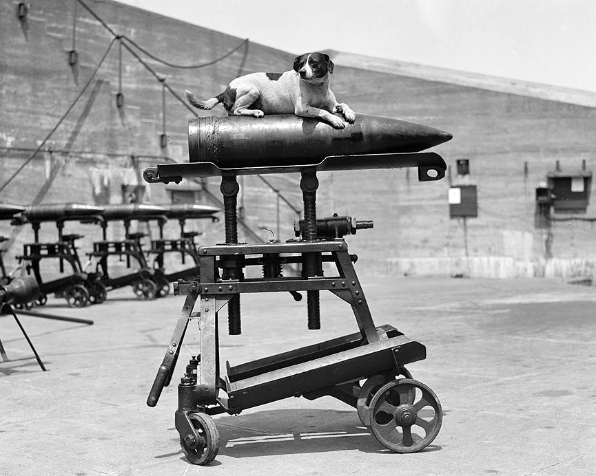Shell and dog. Boston, 1926. Boston Public Library