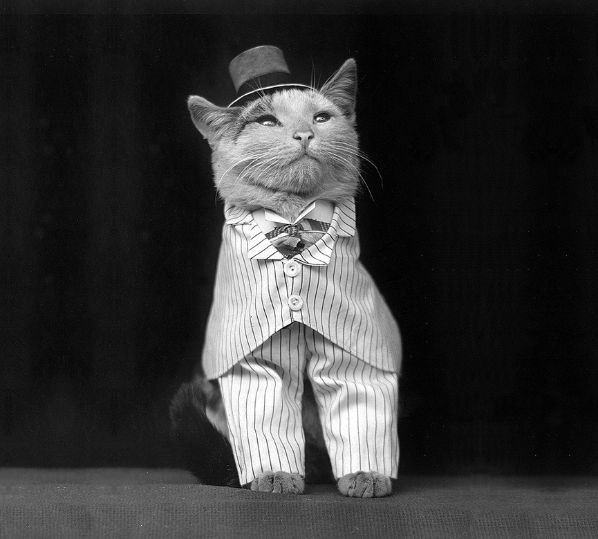 Preparado para la fiesta, 1906. Biblioteca del Congreso