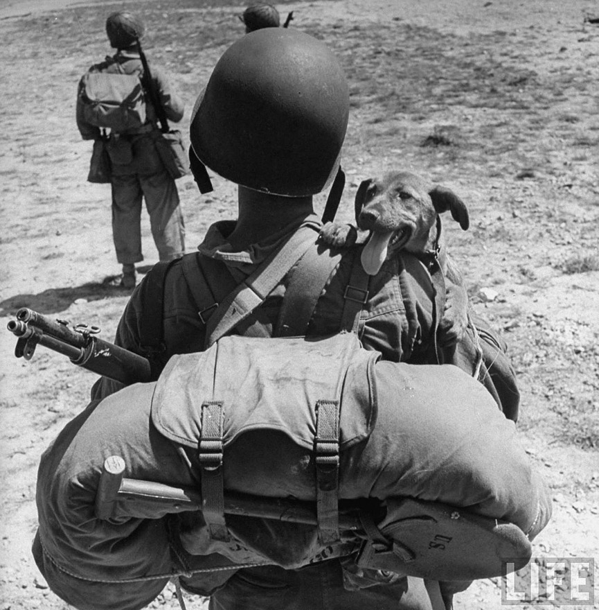 El marine de EE.UU. Jesse Goin con su perro, 1944. George Strock, Life