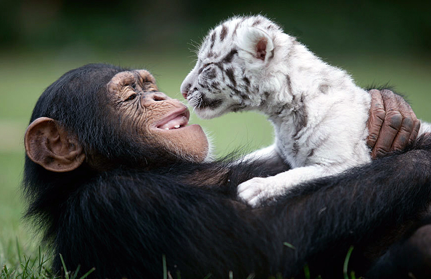 Dos buenos amigos. Barry Bland