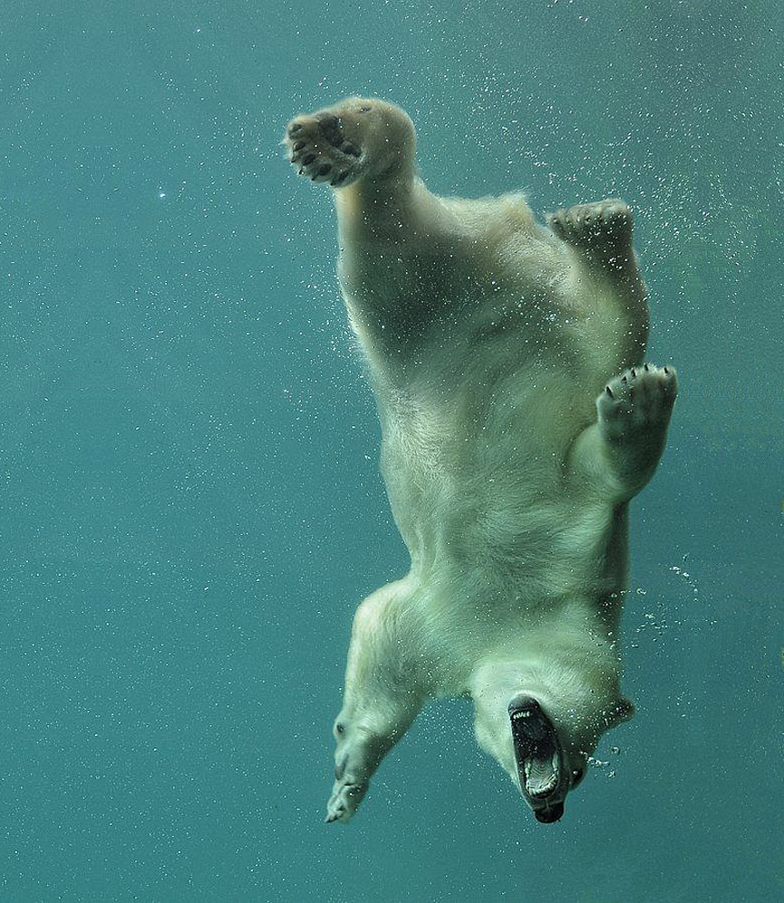 ¡Que me ahogo!. Tilly Meijer