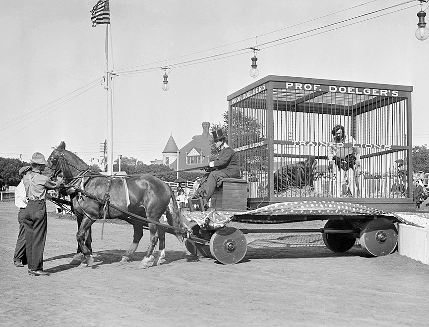 La jaula de los leones con el domador P. Doelger en su interior. Long Branch, 1909. Librería del Congreso