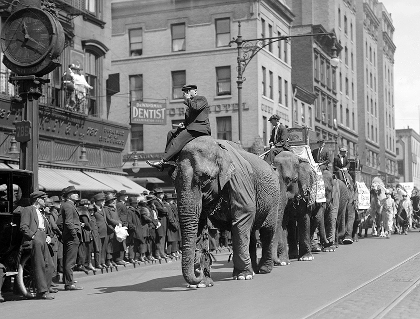 Circus Parade, 1912. Libreria del Congreso