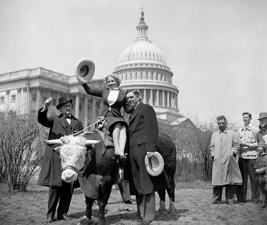 Some Texas beef. Washington, 1939. Libreria del Congreso