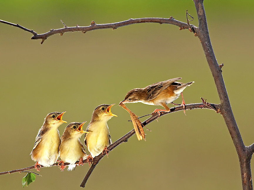Love Mom. Octavianus Darmawan