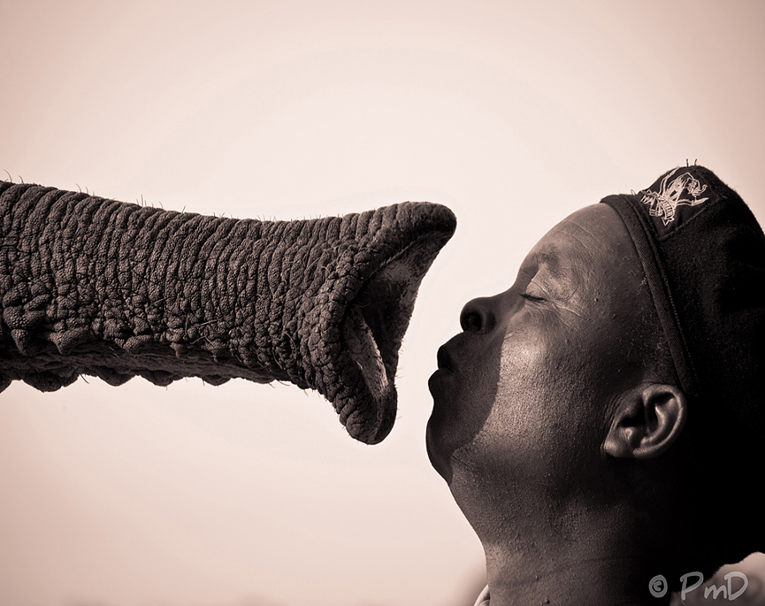 Jabulani dando los buenos dias a su cuidador. Paula Durham