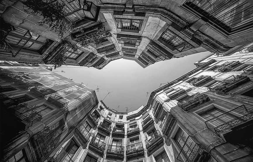 Colmenas de Barcelona. Rosa M. Font Regí