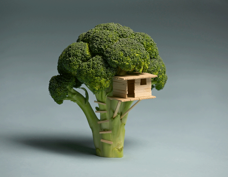 Brocoli House. Brock Davis