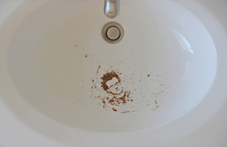 Rastrojos. Brock Davis