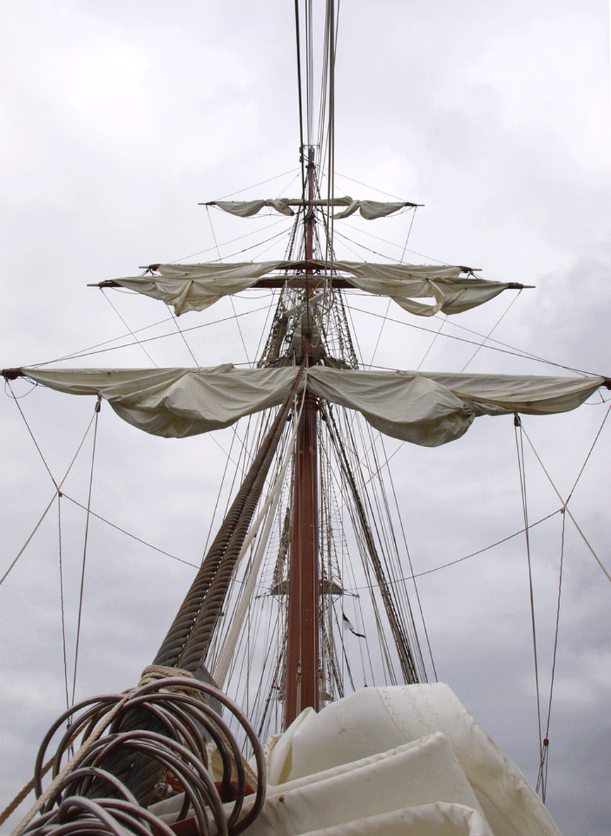 Mirando al cielo desde la cubierta. Leioa
