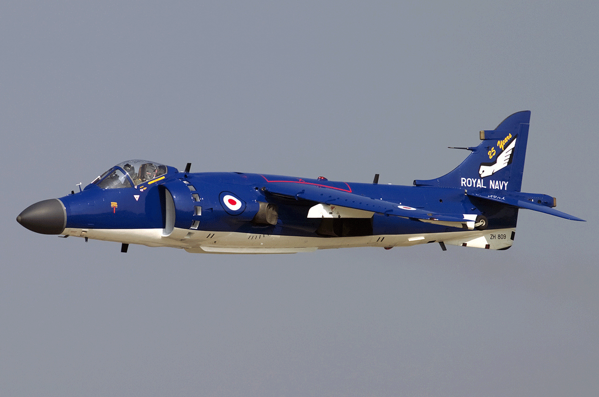 British Aerospace Sea Harrier FA2. Chris Lofting