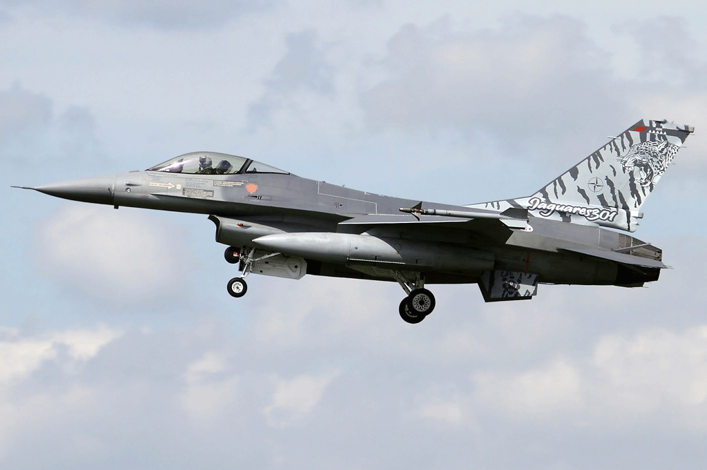 Lockheed F-16AM Fighting Falcon. Wim Callaert