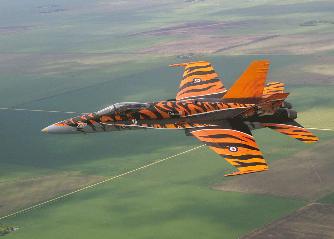 McDonnell Douglas CF-188A Hornet (CF-18A). John Bradley