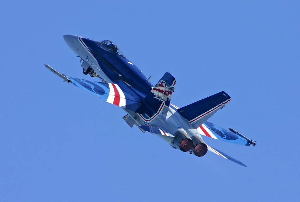 McDonnell Douglas F/A-18A Hornet. Cecily McCarthy