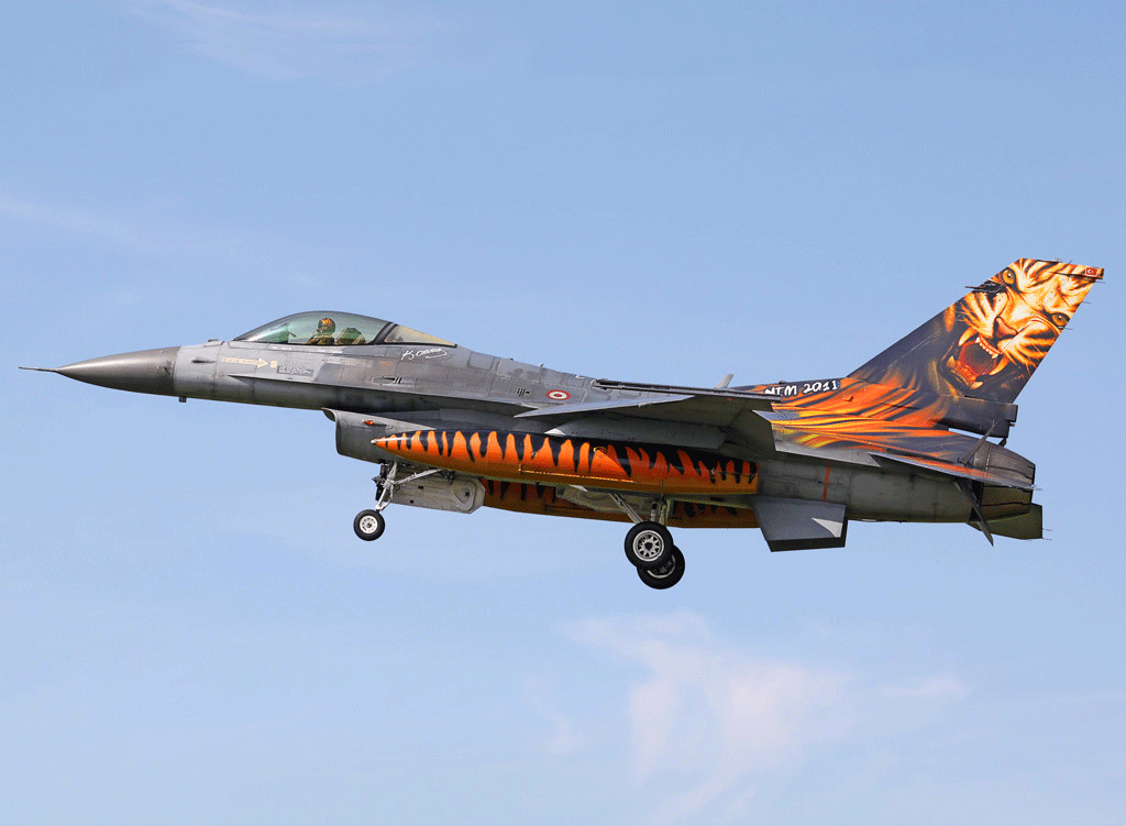 Tusas F-16CJ Fighting Falcon. Peter Smithson