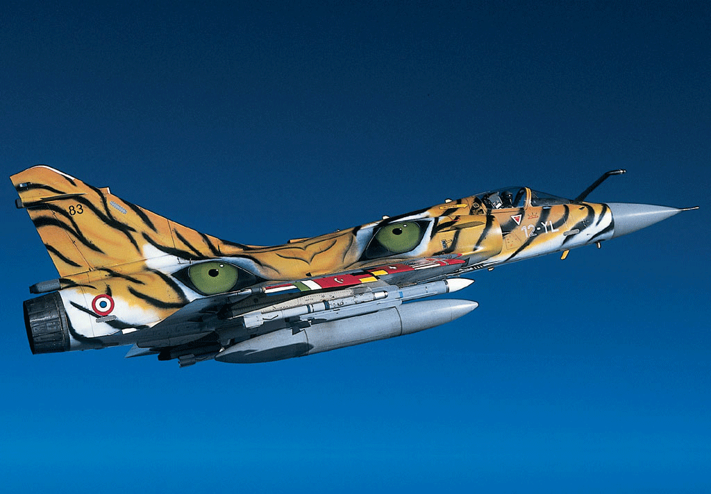 Mirage 2000. Ron Kellenaers