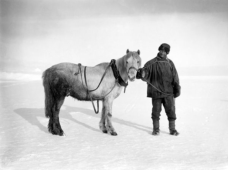 George Benet Cherry-Garrard junto al pony Michael, octubre de 1911. Herbert Ponting