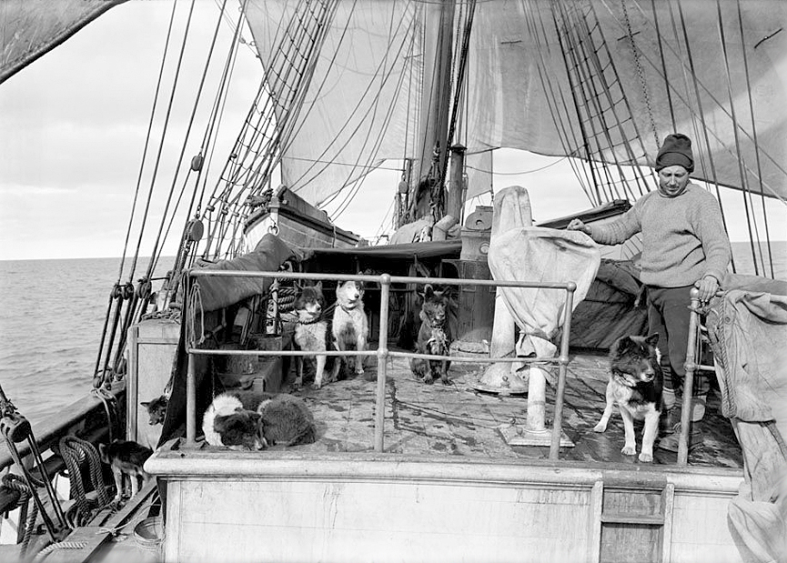 Cecil Meares con sus perros en la cubierta del buque Terra Nova, 3 de enero de 1911. Herbert Ponting