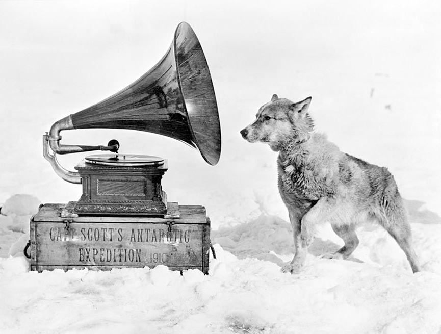 Chris, uno de los perros de trineo, escucha con interés el gramófono de la expedición, enero de 1911. Herbert Ponting