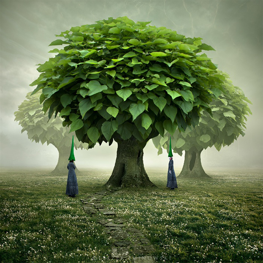 Bosque olvidado. Leszek Bujnowski