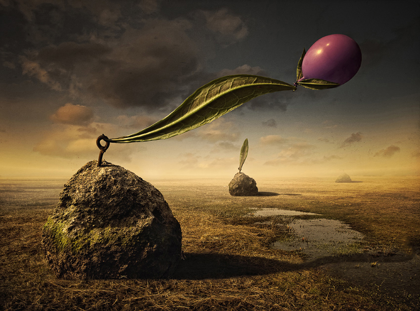 Evolución. Peter Cakovsky