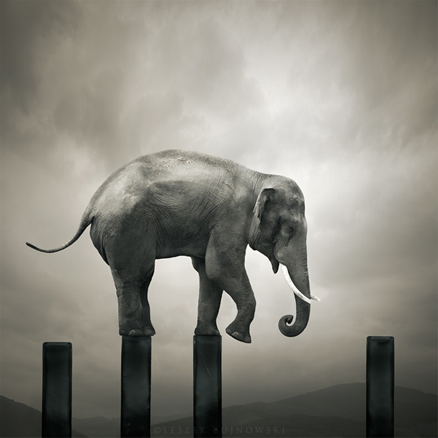 El ultimo paso. Leszek Bujnowski