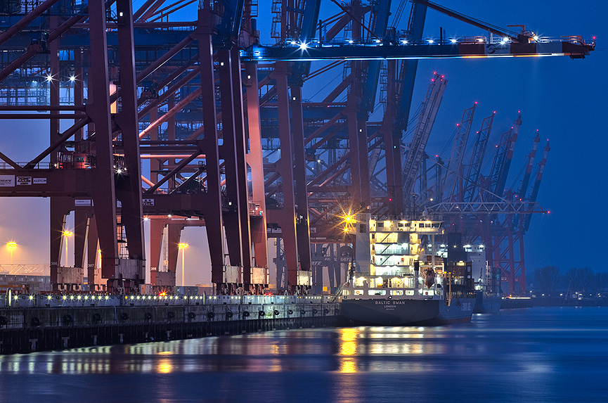 Baltic Swan. Jan Geerk