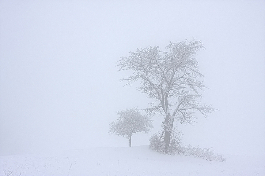 Beskid Niski. Marcin Nawrocki