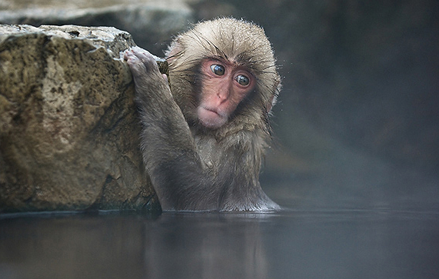 Holding on. Marsel van Oosten