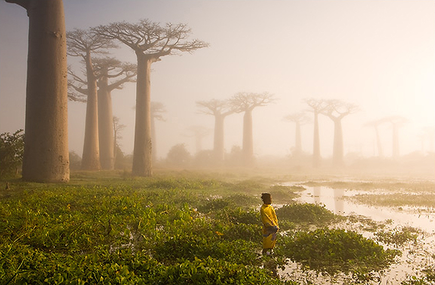 Madagascar. Marsel van Oosten